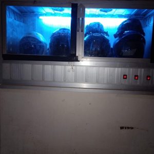 Mesin yang dipakai untuk pengeringan helm
